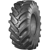 Каталог Belshina 21,3-24 10PR 140A6 ИЯВ-79 TT БЕЛАРУСЬ от магазина Шинторг